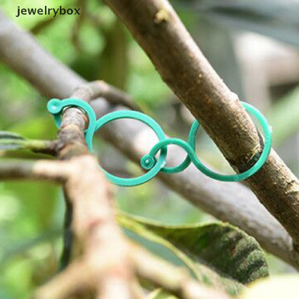 100 Pcs Klip Buckle Ring Holder Tanaman Tomat Untuk Taman