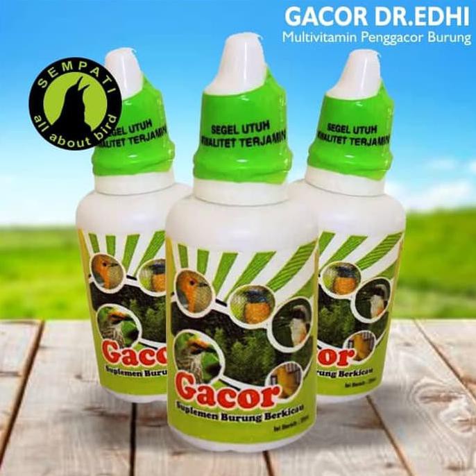 Murah Meriah Gacor Besar Dr Edhi Vitamin Burung Meningkatkan