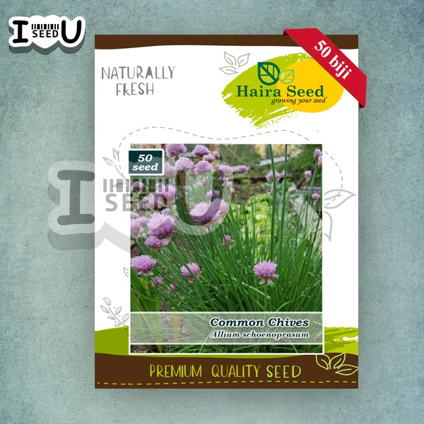 Haira Seed Bibit-Biji Daun Bawang Chives