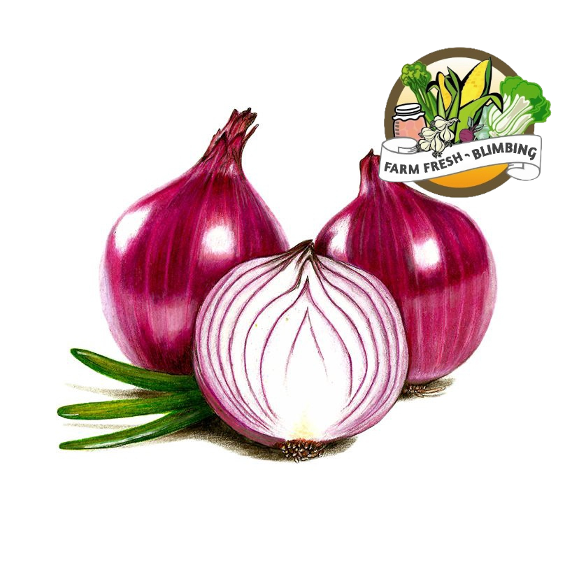 

brambang bombay 500gr