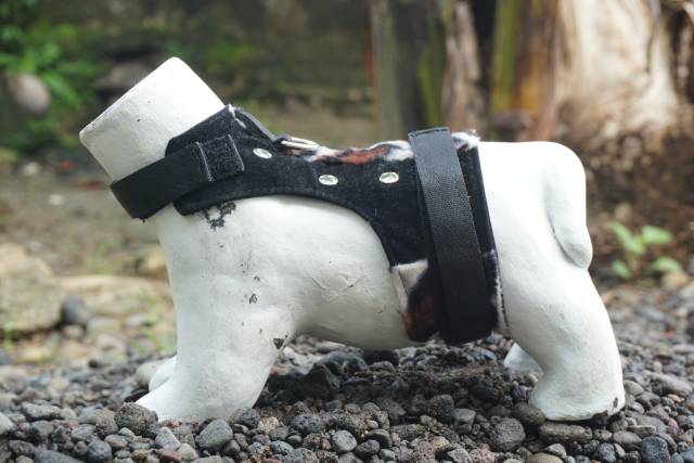 Baju rompi musang kucing dan otter murah