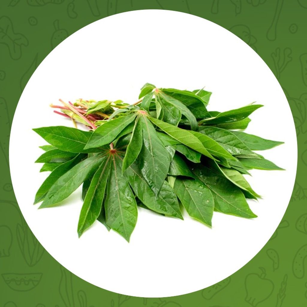 

DAUN SINGKONG 1 IKAT