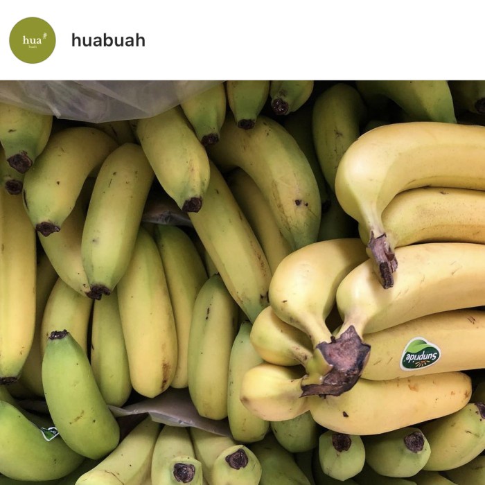 

Pisang Cavendish