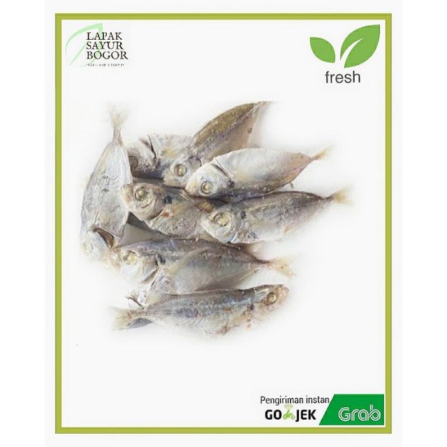 

ikan asin selar