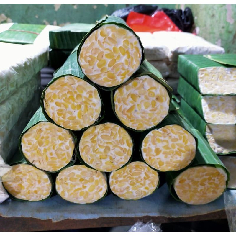 

Tempe bulat