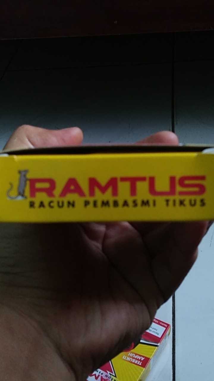Ramtus Racun Tikus Ampuh Mati Kering Tidak Bau Pembasmi Curut Wirog Mencit Dirumah Di Mobil 2 Pack