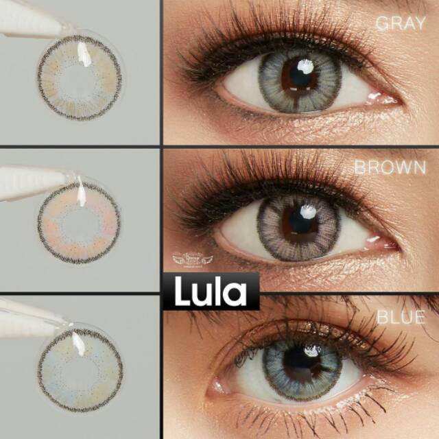 Softlens Lula grey brown Normal Minus by Dreamcolor1 DC1 lens korea thailand