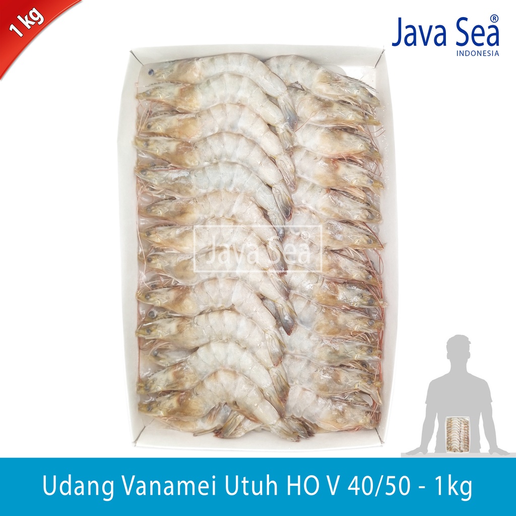 

Udang Vanamei Utuh Ada Kepala HO V 40/50 pack 1kg Java Sea