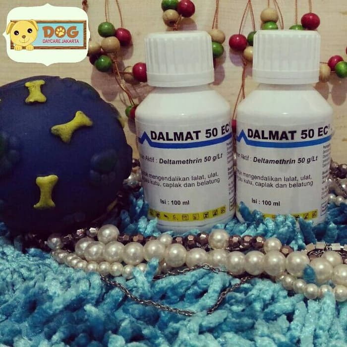Dalmat obat kutu mandi