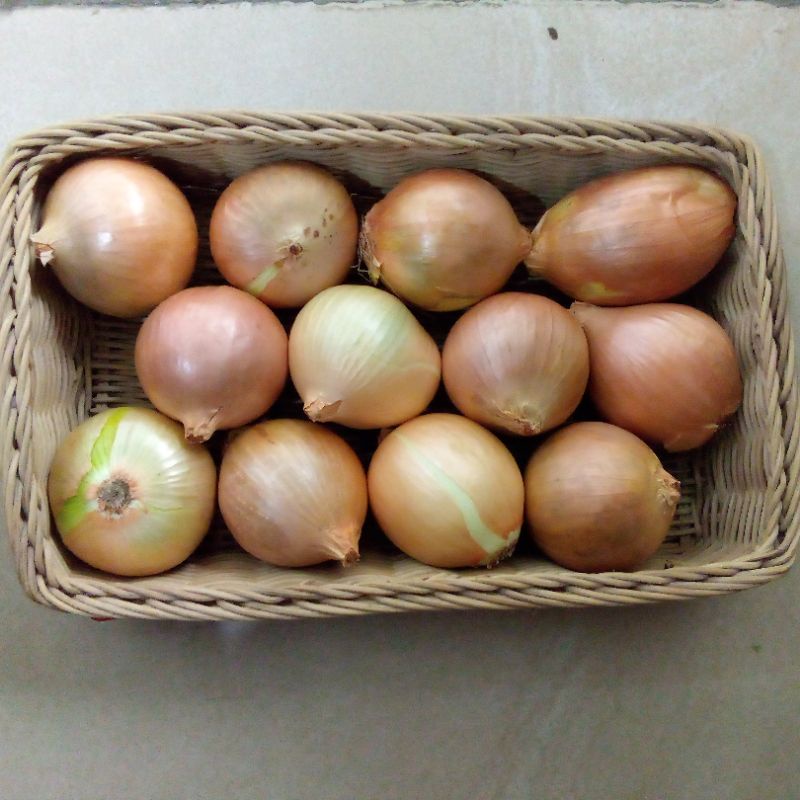 Bawang Bombay (1kg)