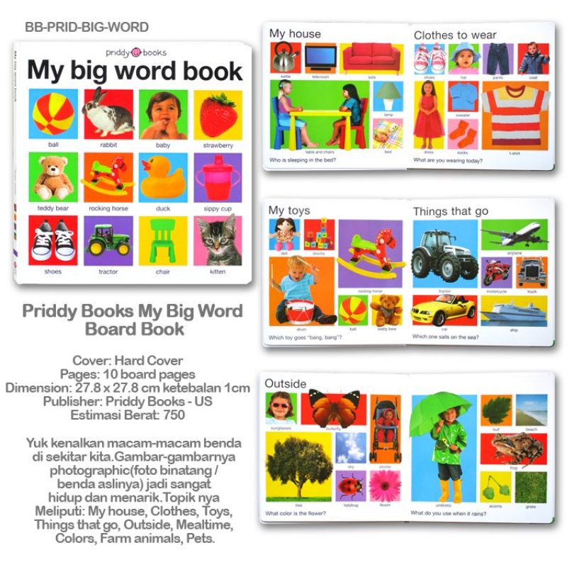 My Big Word Book