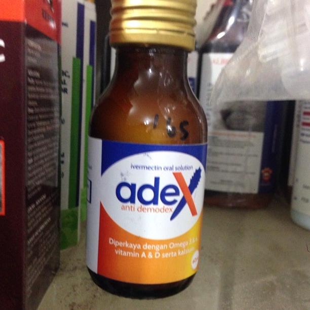 READY STOCK New  Obat minum anjing kucing kelinci penyakit kulit scabies demodek Asli