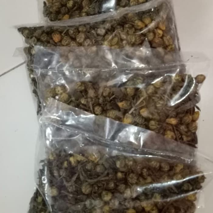 

TEH KURUS PLUS BABY BUNGA CHRYSUNTHEMUM