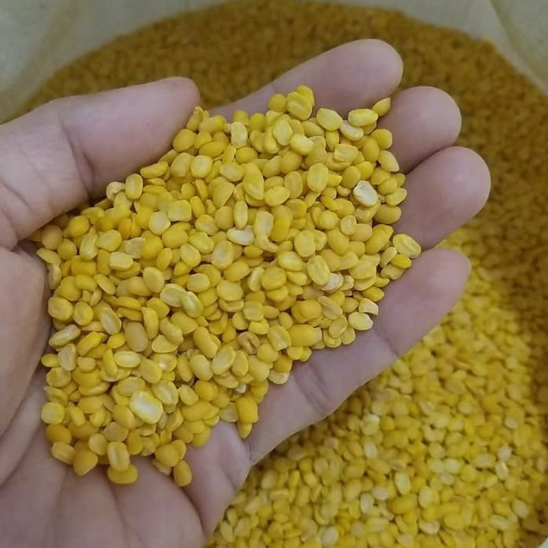 

Kacang Hijau Kupas Kulit 1 Kg Isian Kue, Roti dan Bakpau