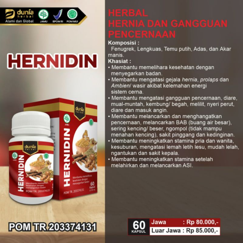 

(BPOM) HERNIDIN Herbal Hernia dan Gangguan Pencernaan