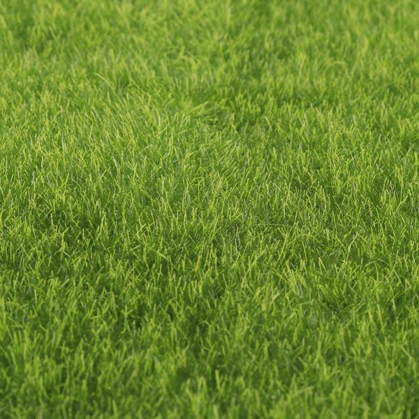 Dekorasi Taman Rumput Sintetis Artificial Grass Landscape - JM-4024 - Green--RUYI