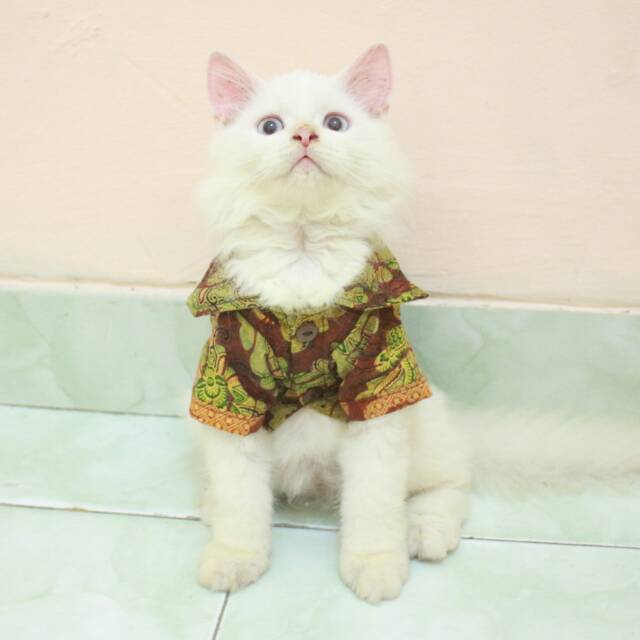 Kemeja batik jawa lucu untuk kucing dan anjing / baju kucing murah meriah size S M L XL