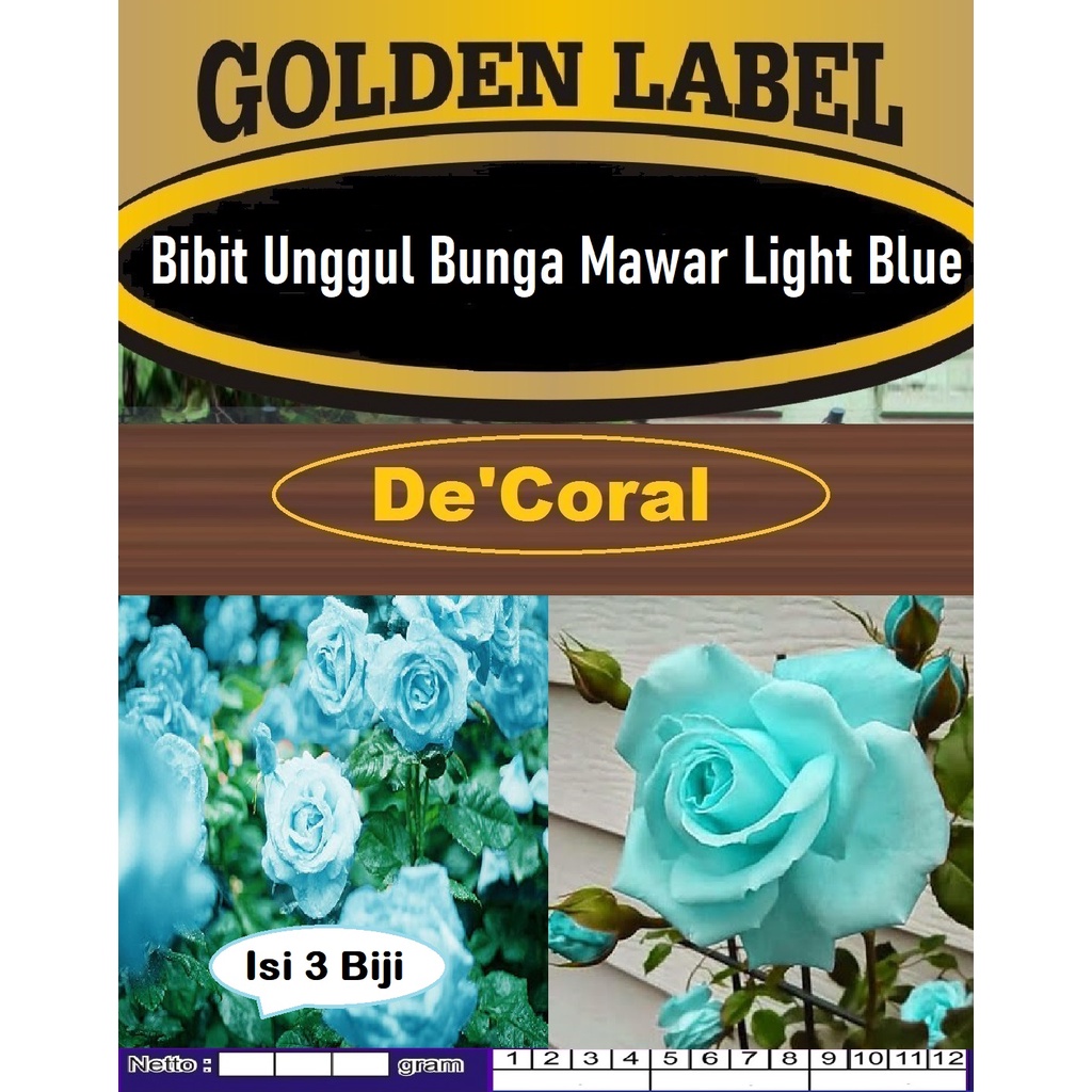 Bibit Unggul Bunga Mawar Light Blue|Benih Bunga Mawar Biru Muda| Bunga Rose