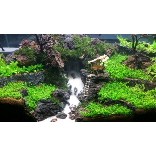 Aquarium aquascape full set uk 40cm