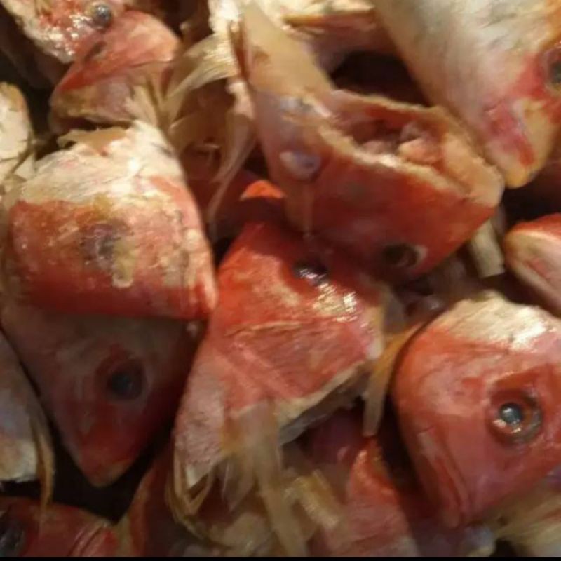 

jual kepala kakap merah segar per 500 gram