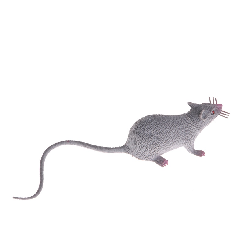 Mary Natal Canda Palsu Model Tikus Manusia Hidup Prop Halloween Hadiah Mainan Party Decor