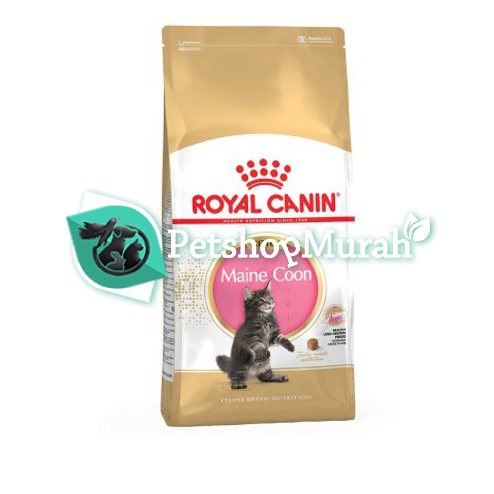 Royal Canin Kitten Maine Coon 2 Kg Makanan Kucing Mainecoon 2kg