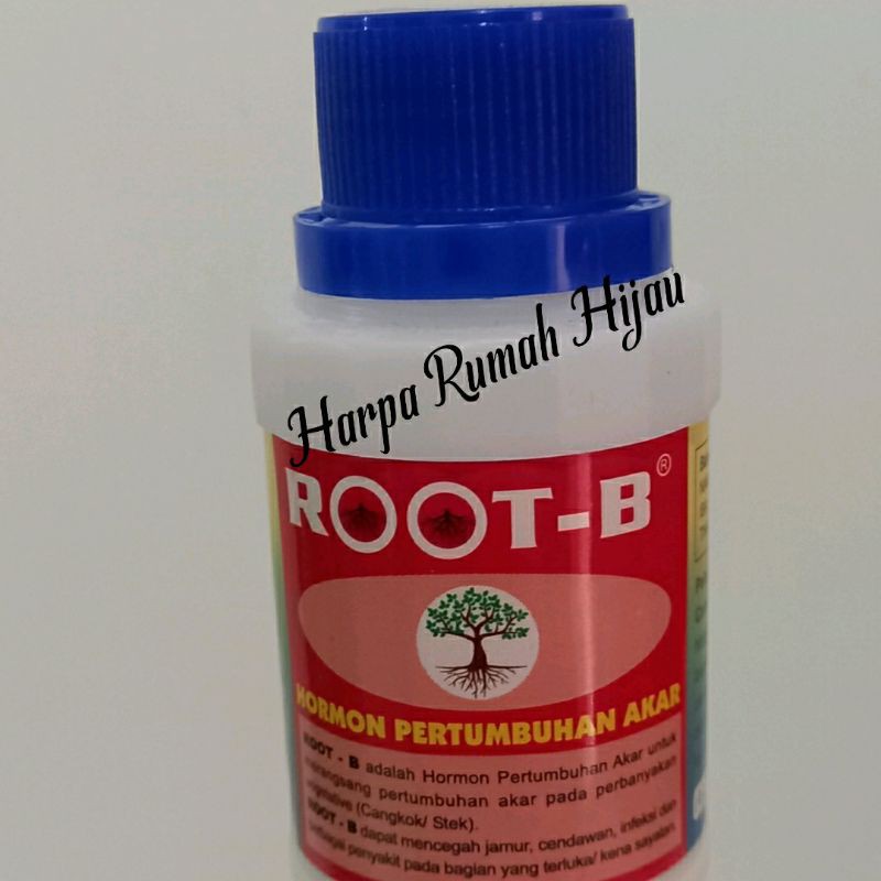Root B Rapid Root pupuk  hormon penumbuh akar