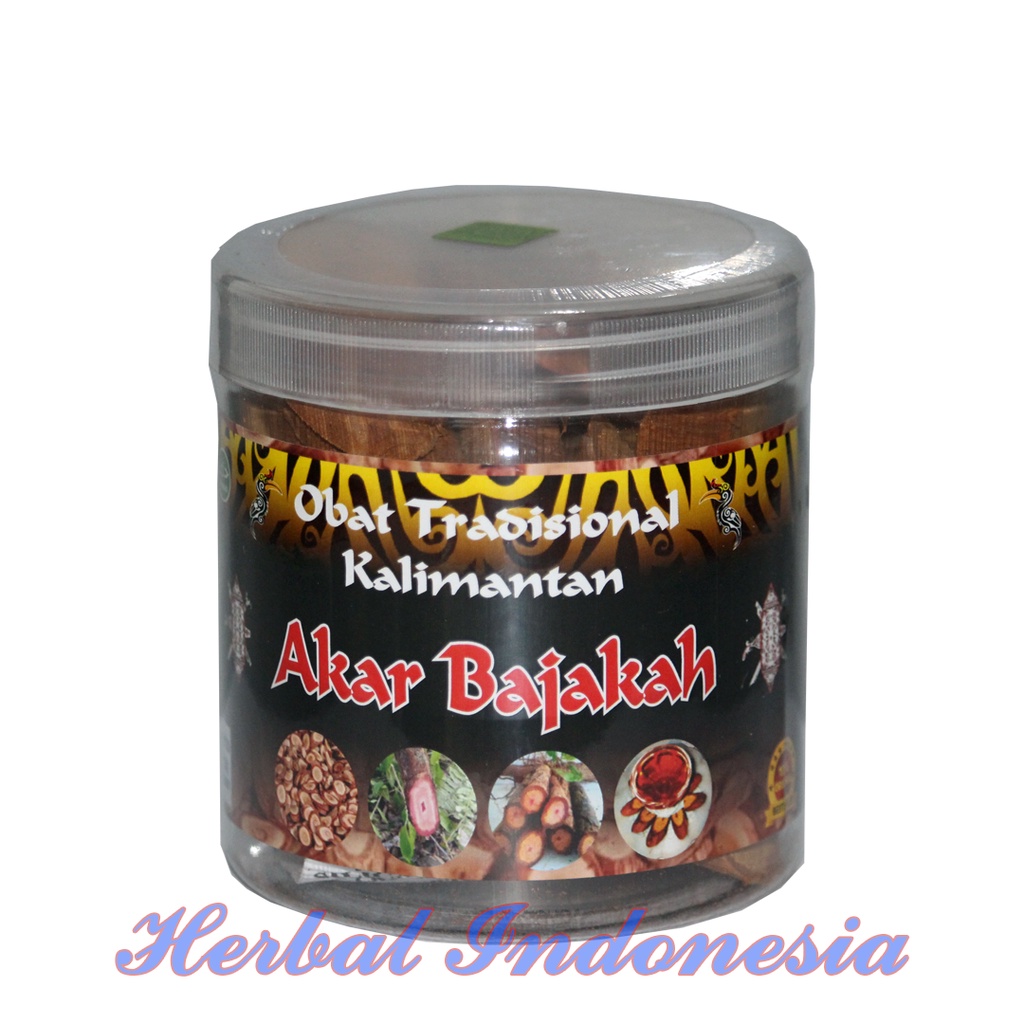 Herbal Tradisional Kalimantan | AKAR BAJAKAH Asli 150 gr