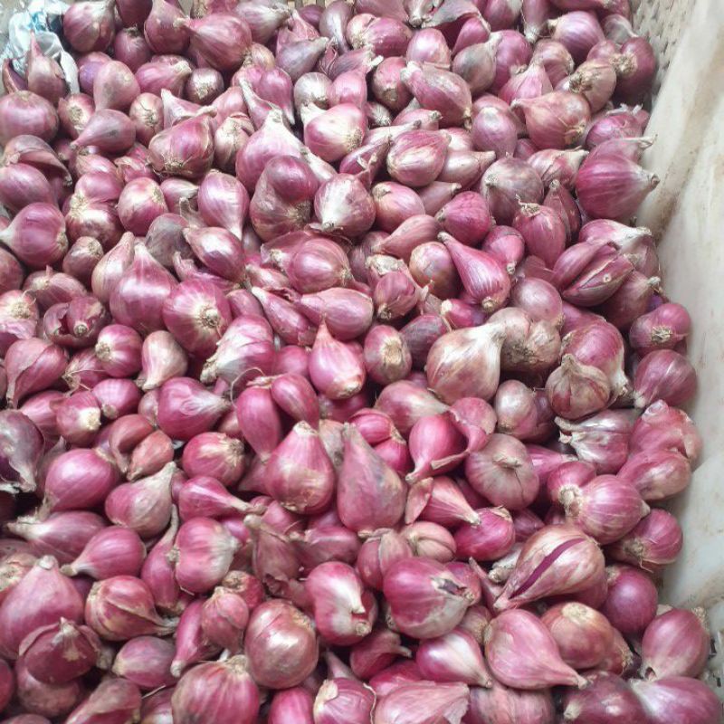 

bawang merah brebes 500gram