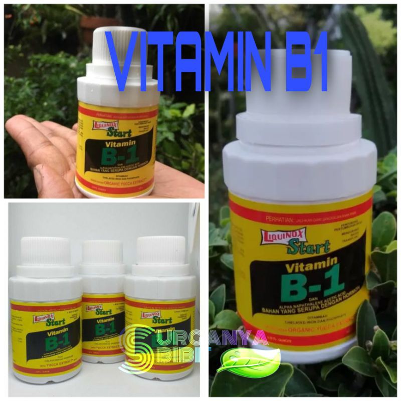 OBAT VITAMIN B1 ORIGINAL