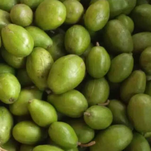

Buah dondong jawa