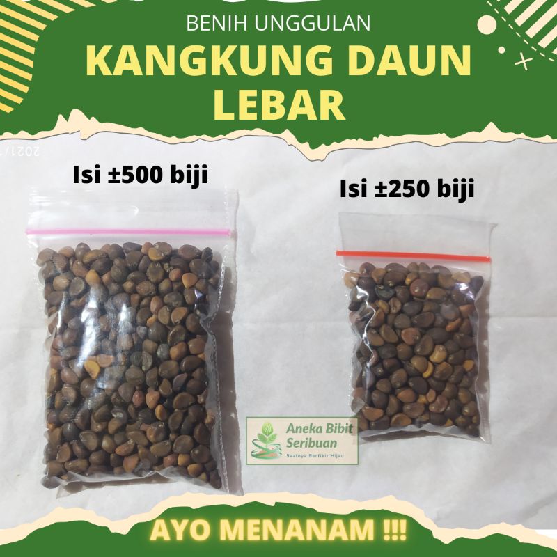 500 Biji - Benih kangkung SUPER, panen umur 22 harian