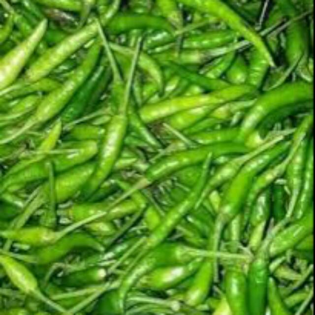 

Cabe rawit hijau