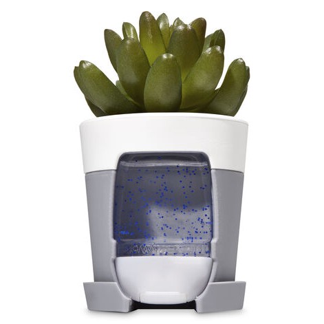 Succulent Cactus for desk - Pocketbac Holder Bath &amp; Body Works