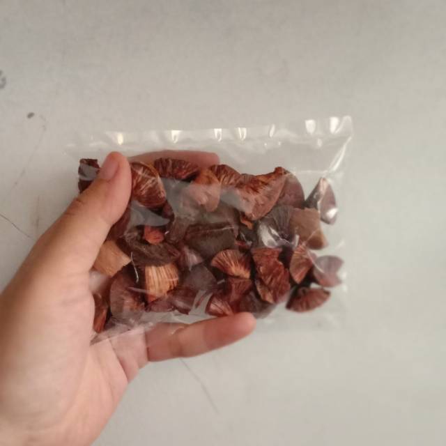 

Laris Rempah. Biji pinang kering. Jambe pinang. Jambe kering