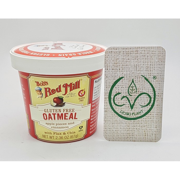 

Bob's Red Mill Gluten Free Oatmeal Cup (Apple & Cinnamon) - 67g grosir