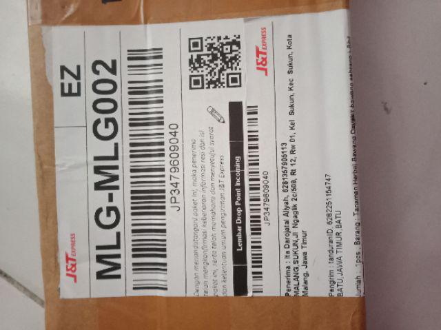 Bibit Tanaman Buah Durian Montong