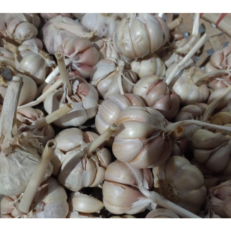 

BAWANG PUTIH 250gr
