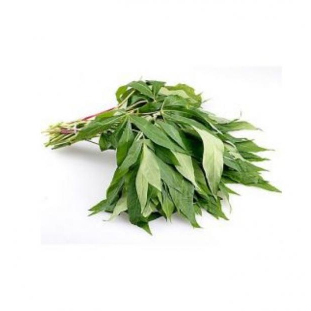 

DAUN SINGKONG PER IKAT
