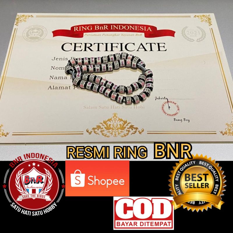 RING BNR RESMI & SERTIFIKAT UNTUK MURAI BATU