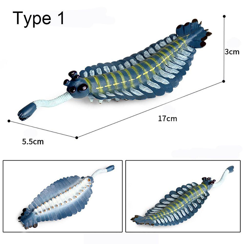 Chookyy Model Organisme Laut Prahistoris Hadiah Pemandangan Laut Simulasi Belajar Dini Anomalocaris