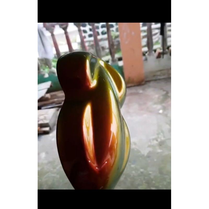 cat bunglon chameleon color