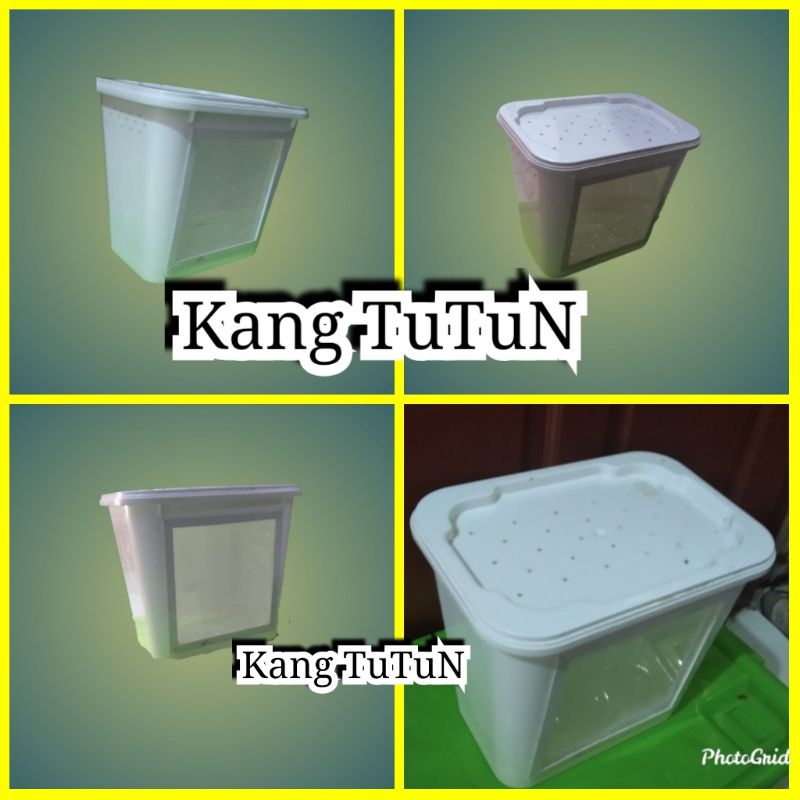 Vivarium Bekas Box EsCream - Not Aquatium