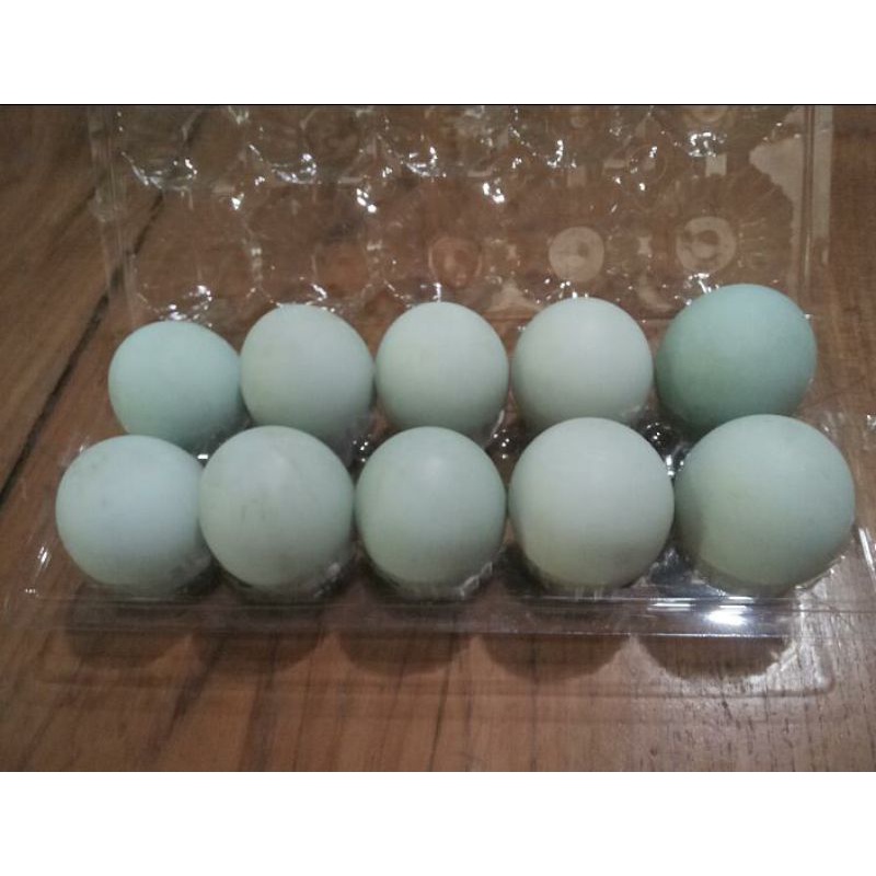 

Telor asin10btr/Kiswati894