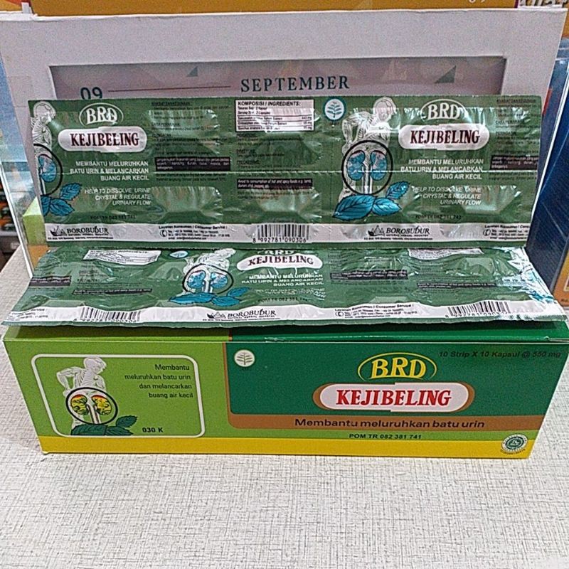 kejibeling capsule/kejibeling borobudur