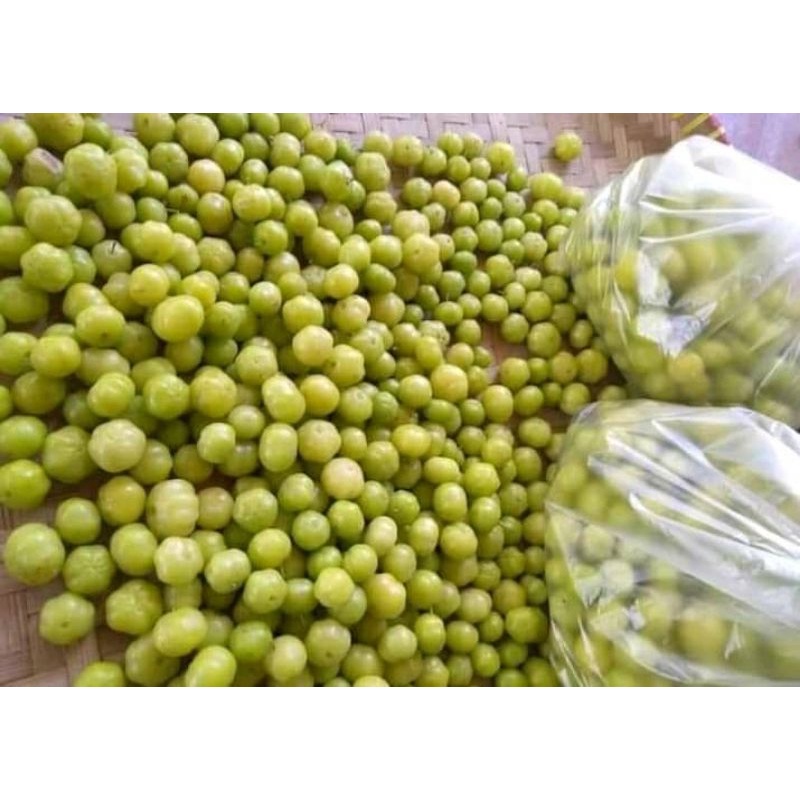 

buah cermei buah cerme segar langsung petik setengah kilo gram