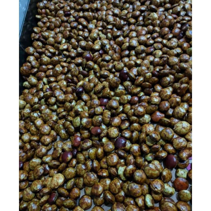 

JENGKOL