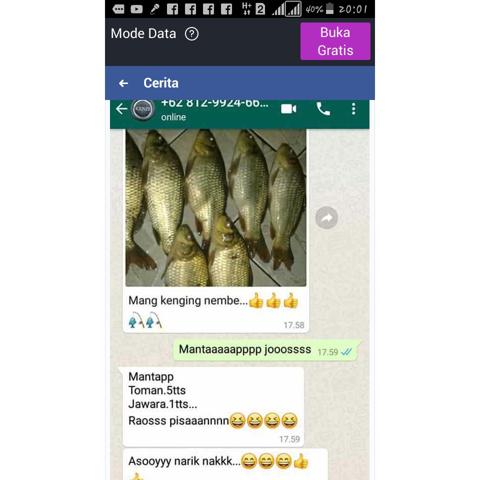 Essen oplosan jitu paling top khusus ikan mas