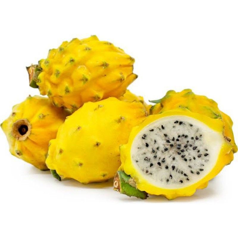 

Buah naga Kuning / Dragon Fruit yellow/import china 05.kg
