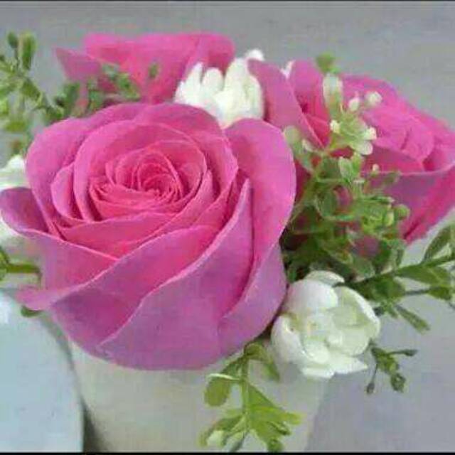sher_soe